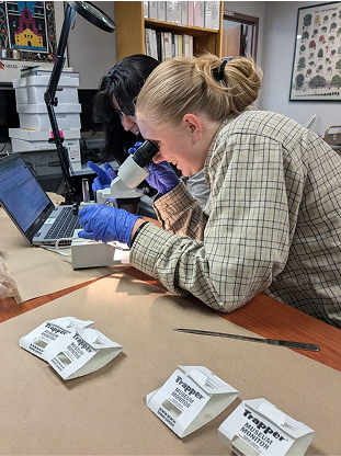 students with scrolls